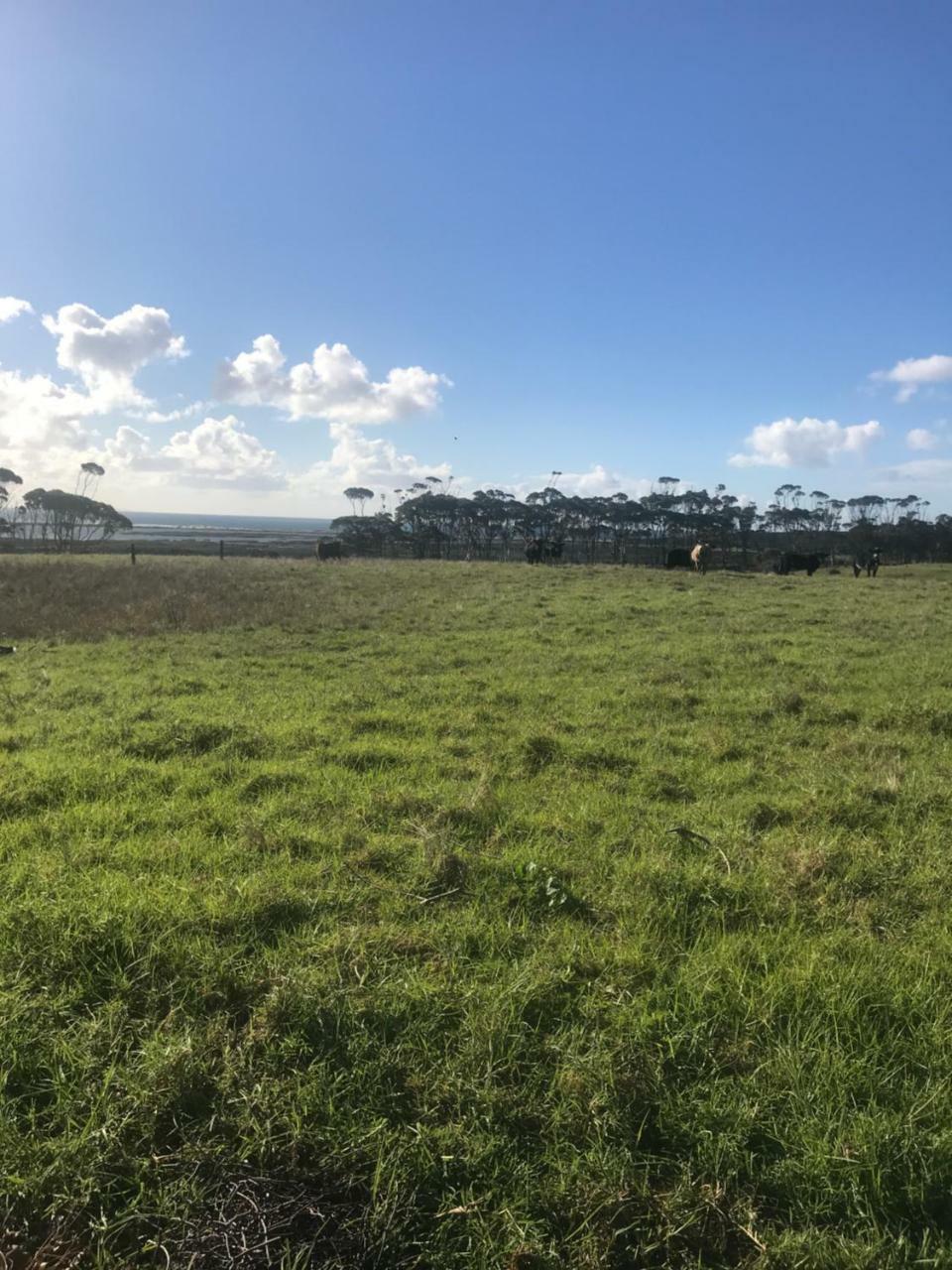 Karikari Lodge Tokerau Beach Exterior photo